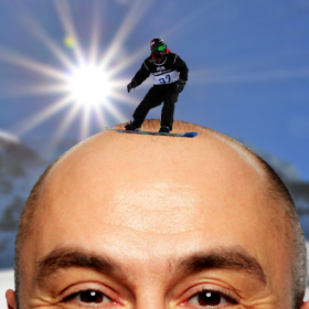 couverture jeu vidéo BaldJeu2 -World Bald Tour
