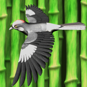 couverture jeu vidéo Bambird