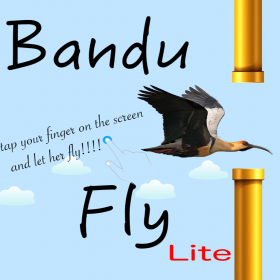 couverture jeu vidéo BanduFly Lite