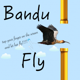 couverture jeu vidéo BanduFly