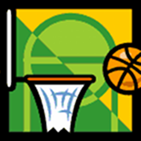 couverture jeu vidéo Basketball Insanity