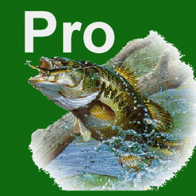 couverture jeu vidéo Bass Fishing Guru Pro
