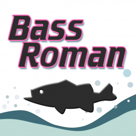 couverture jeu vidéo BassRoman