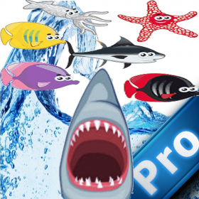 couverture jeu vidéo Beach Shark Pro