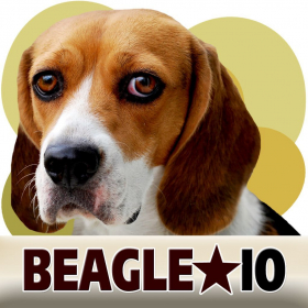 couverture jeu vidéo Beagle IO