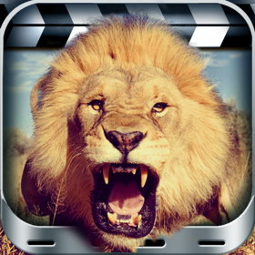 couverture jeu vidéo Beast MovieApp - Dangerest Animal Movie FX