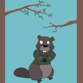 couverture jeu vidéo Beaver Climb
