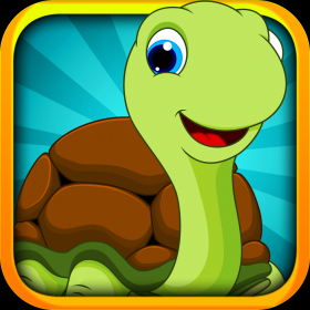 couverture jeu vidéo Bébé tortue volante Aventure