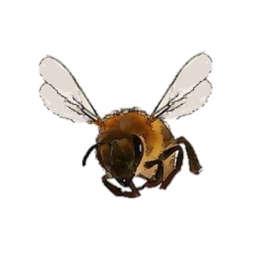 couverture jeu vidéo Bee Zapper