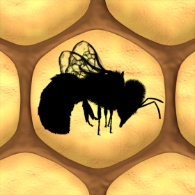 couverture jeu vidéo BeeKeeper