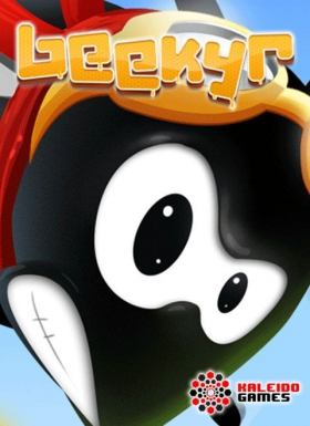 couverture jeu vidéo Beekyr