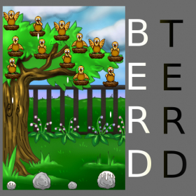 couverture jeu vidéo Berd Terd
