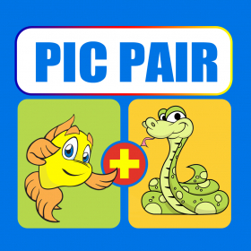 couverture jeu vidéo Best for Guess The Pic Pair