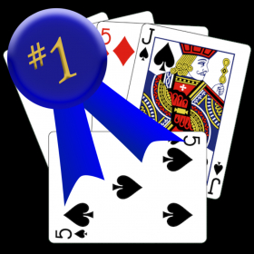 couverture jeu vidéo Best of Cribbage Solitaire