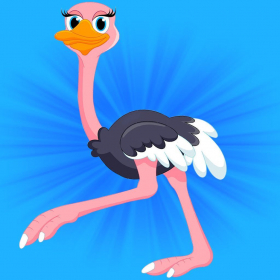 couverture jeu vidéo Big Bird Run - Crazy Jungle Splash d'autruche (jeu gratuit)