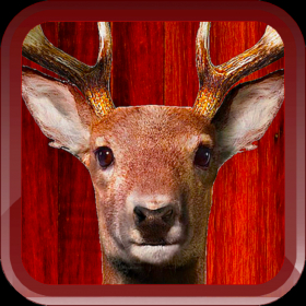 couverture jeu vidéo Big Buck Deer Hunter