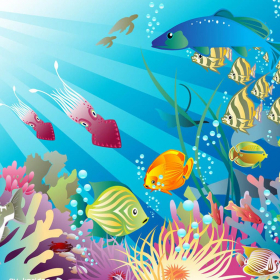 couverture jeu vidéo Big Fish Little Fish
