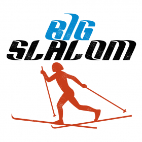 couverture jeu vidéo Big Slalom