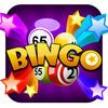 couverture jeu vidéo Big Win Bingo