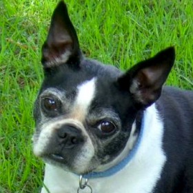 couverture jeu vidéo BigBricks