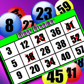 couverture jeux-video Bingo Dreamer HD