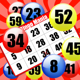 couverture jeu vidéo Bingo Maniac