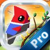 couverture jeu vidéo Bird Coin Racing PRO