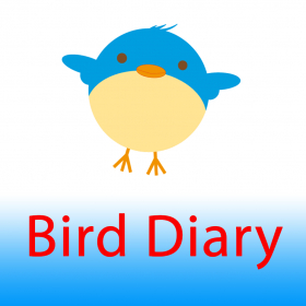 couverture jeu vidéo Bird Diary