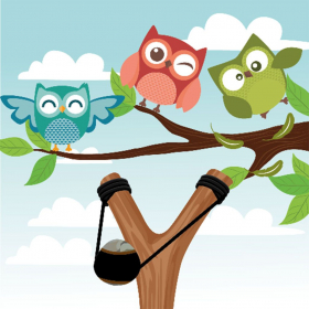couverture jeu vidéo Bird Hunter SlingShot