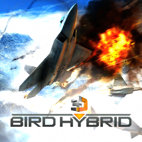 couverture jeu vidéo Bird Hybrid 3D