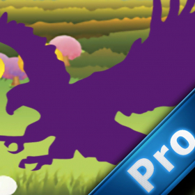 couverture jeu vidéo Bird Magic Fast Pro