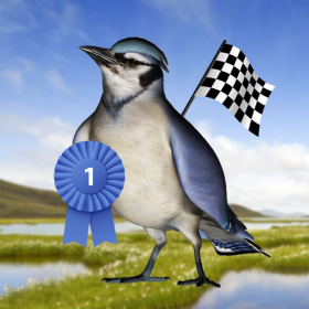 top 10 éditeur Bird Race - The remake!