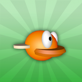 couverture jeu vidéo Bird Racer Pro