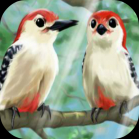couverture jeu vidéo Birdies