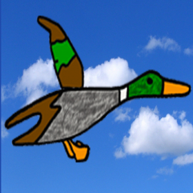 couverture jeu vidéo Birds Game