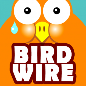 couverture jeu vidéo Birds On a Wire!
