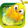 couverture jeu vidéo Birdy Bobble 2016