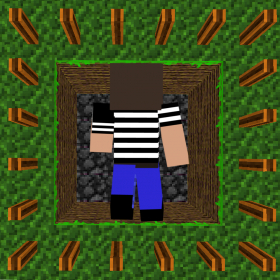 couverture jeu vidéo Bitcraft