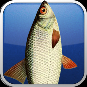 couverture jeu vidéo Bite the Fish Lite