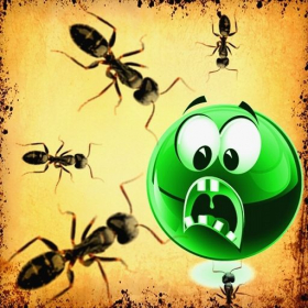 couverture jeu vidéo Bitten Lite