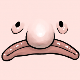 couverture jeu vidéo Blobfish Evolution