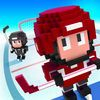 couverture jeu vidéo Blocky Hockey - Arcade Ice Runner