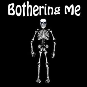 couverture jeu vidéo BotheringME