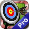 couverture jeu vidéo Bow and Arrow Game Pro - Archery Skills Training