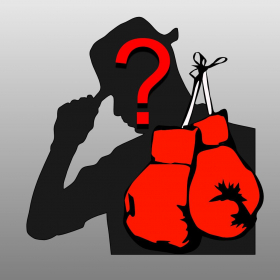 couverture jeu vidéo Boxing Quiz Maestro