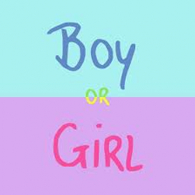 couverture jeu vidéo BoyAndGirl