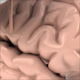 couverture jeu vidéo Brain Surgery Game HD