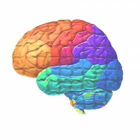 couverture jeu vidéo Brain wars