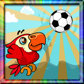 couverture jeu vidéo Brazil Football Birds