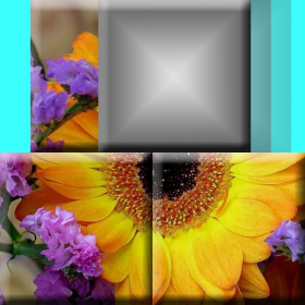 couverture jeu vidéo BT Picture Puzzle